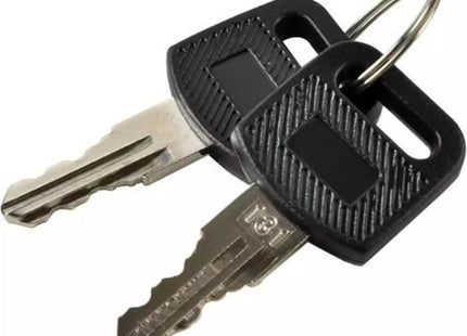 Malatec - Wand Brievenbus - Zilvergrijs - RVS - Inclusief Bevestigingselementen & 2 Sleutels