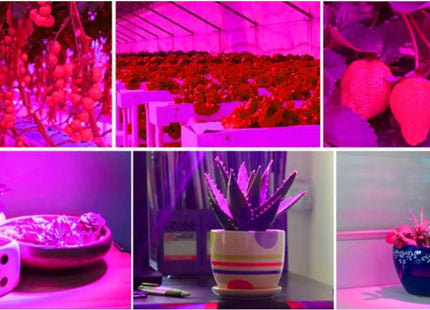 LED Kweeklamp - Bloeilamp Voor Planten - 200 LEDs - E27 Fitting - Met Klemhouder