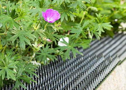 Haushalt anti-klim strips tegen katten en vogels, 10 stuks van 50 x 4,5 cm
