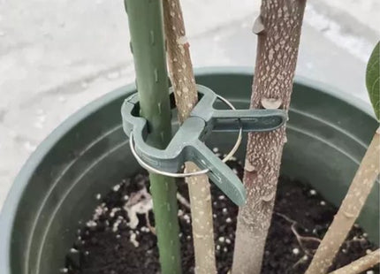 Plantenclips set van 108 stuks in 2 maten voor pot- en tuinplanten, groen
