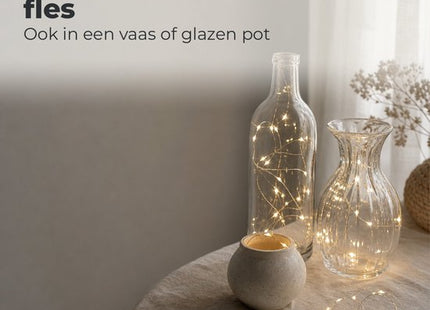 STEGGER lichtsnoer op batterij met 20 leds warm wit en zilverdraad van 95 cm