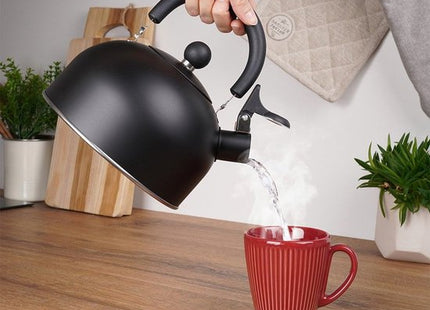 Vilde fluitketel edelstaal mat zwart 2 liter voor gas en inductie
