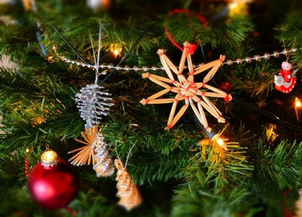 Decoris kerstslinger met kralen in champagne, 10 meter x 0,8 cm