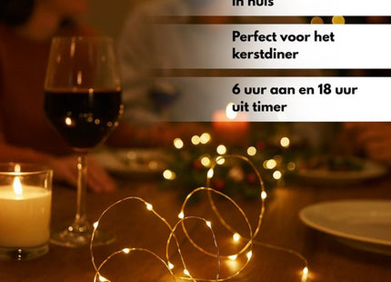 STEGGER lichtsnoer op batterij met 20 leds warm wit en zilverdraad van 95 cm
