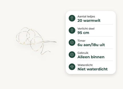 STEGGER lichtsnoer op batterij met 20 leds warm wit en zilverdraad van 95 cm