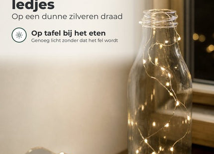 STEGGER lichtsnoer op batterij met 20 leds warm wit en zilverdraad van 95 cm