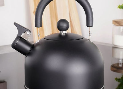 Vilde fluitketel edelstaal mat zwart 2 liter voor gas en inductie