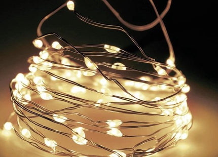 STEGGER lichtsnoer op batterij met 20 leds warm wit en zilverdraad van 95 cm