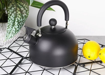 Vilde fluitketel edelstaal mat zwart 2 liter voor gas en inductie