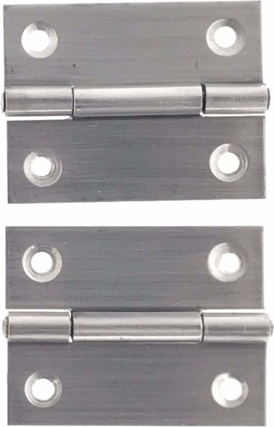 Benson rvs scharnieren 50,8 mm inclusief schroeven 2 stuks - MBDeals.nl