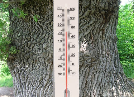 Buiten thermometer wit 39 cm - Kunststof tuinthermometers - Tuin artikelen - MBDeals.nl