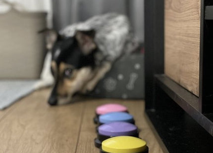 Dog buttons set van 4 opneembare drukknoppen voor hond en kat - MBDeals.nl