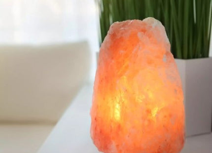 Izoxis zoutlamp met warm oranje licht, E14-lampje en snoerschakelaar, 12 x 23 cm - foto 2