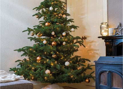 Lumineo kerstverlichting buiten 180 leds warm wit, 1350 cm, timer en dimmer - foto 5