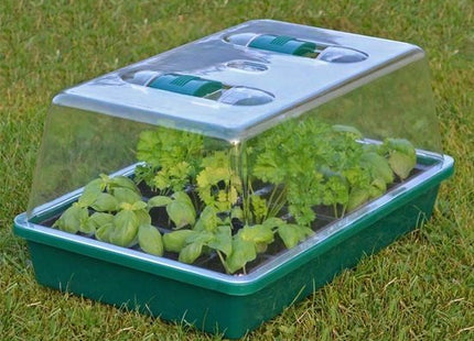Mini broeikas transparant met ventilatieopening, 35 x 25 x 19 cm - MBDeals.nl
