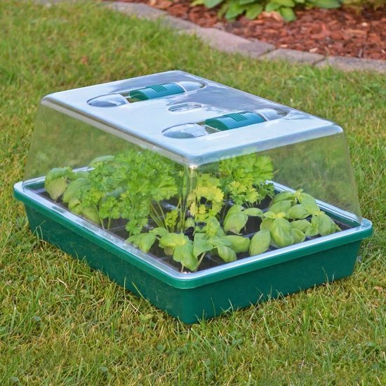 Mini broeikas transparant met ventilatieopening, 35 x 25 x 19 cm - MBDeals.nl