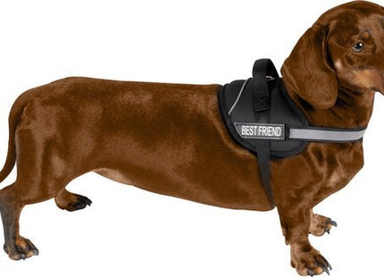 Pet Treatment - Medium Hondentuigje – Verstelbare Halsband 51 - 67 cm – Reflecterende Elementen – Inclusief 2 Leuke Labels - MBDeals.nl