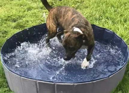 Purlov - Honden Zwembad - Aftapkraan - Opvouwbaar - Antislipbodem - MBDeals.nl