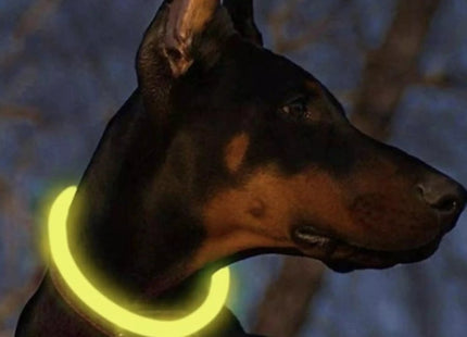 Purlov - LED Halsband - USB Oplaadbaar - Huidvriendelijke Band - Verstelbare Maat - MBDeals.nl