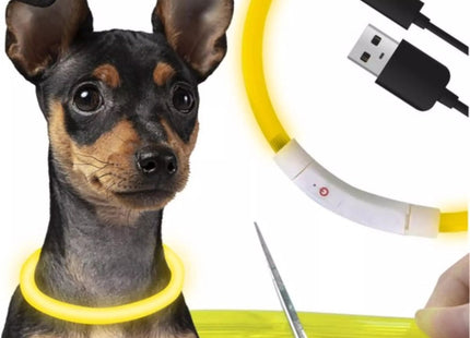Purlov - LED Halsband - USB Oplaadbaar - Huidvriendelijke Band - Verstelbare Maat - MBDeals.nl