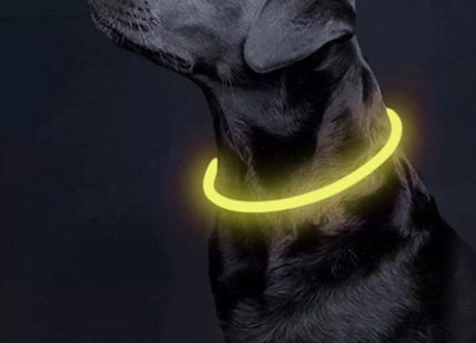 Purlov - LED Halsband - USB Oplaadbaar - Huidvriendelijke Band - Verstelbare Maat - MBDeals.nl