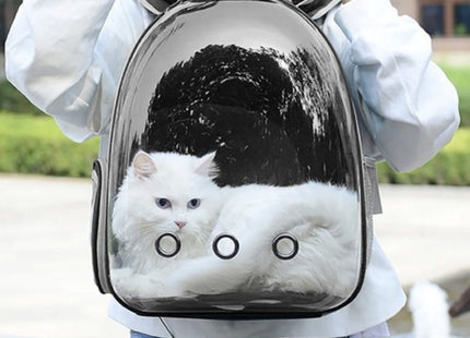 Purlov - Transportrugzak - Uitgebreide Ventilatie - Doorzichtig Plexiglas - Max. Belasting 10 Kg - MBDeals.nl