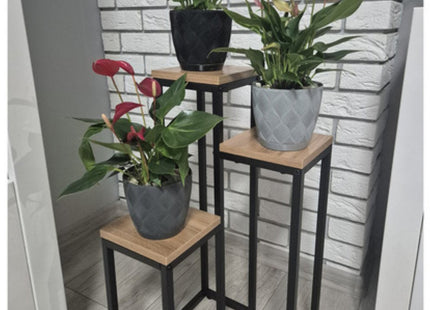 Ruhhy - Plantenstandaard - 3 Laags - Compact Formaat - Modern Minimalistisch Design - MBDeals.nl