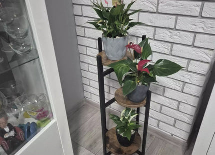 Ruhhy - Plantenstandaard - Loftstijl - 3 Niveaus - 80 cm - MBDeals.nl