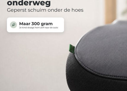STEGGER zitverhoger auto voor kinderen van 135 tot 150 cm, grijs, 2 stuks - MBDeals.nl