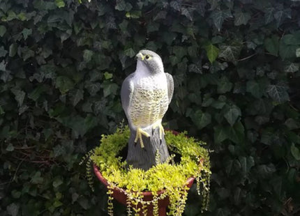 Valk vogelverschrikker 40 cm hoog, realistisch en vulbaar met zand - foto 5