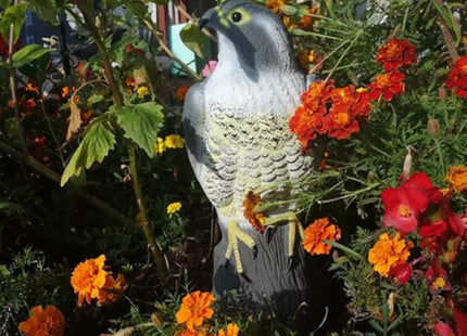 Valk vogelverschrikker 40 cm hoog, realistisch en vulbaar met zand - foto 9