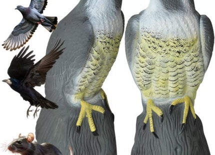 Valk vogelverschrikker 40 cm hoog, realistisch en vulbaar met zand